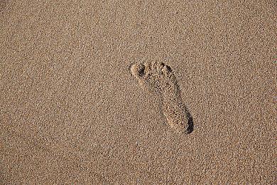 《寂静岭f》销量PS5版占7成 Xbox还不到一成